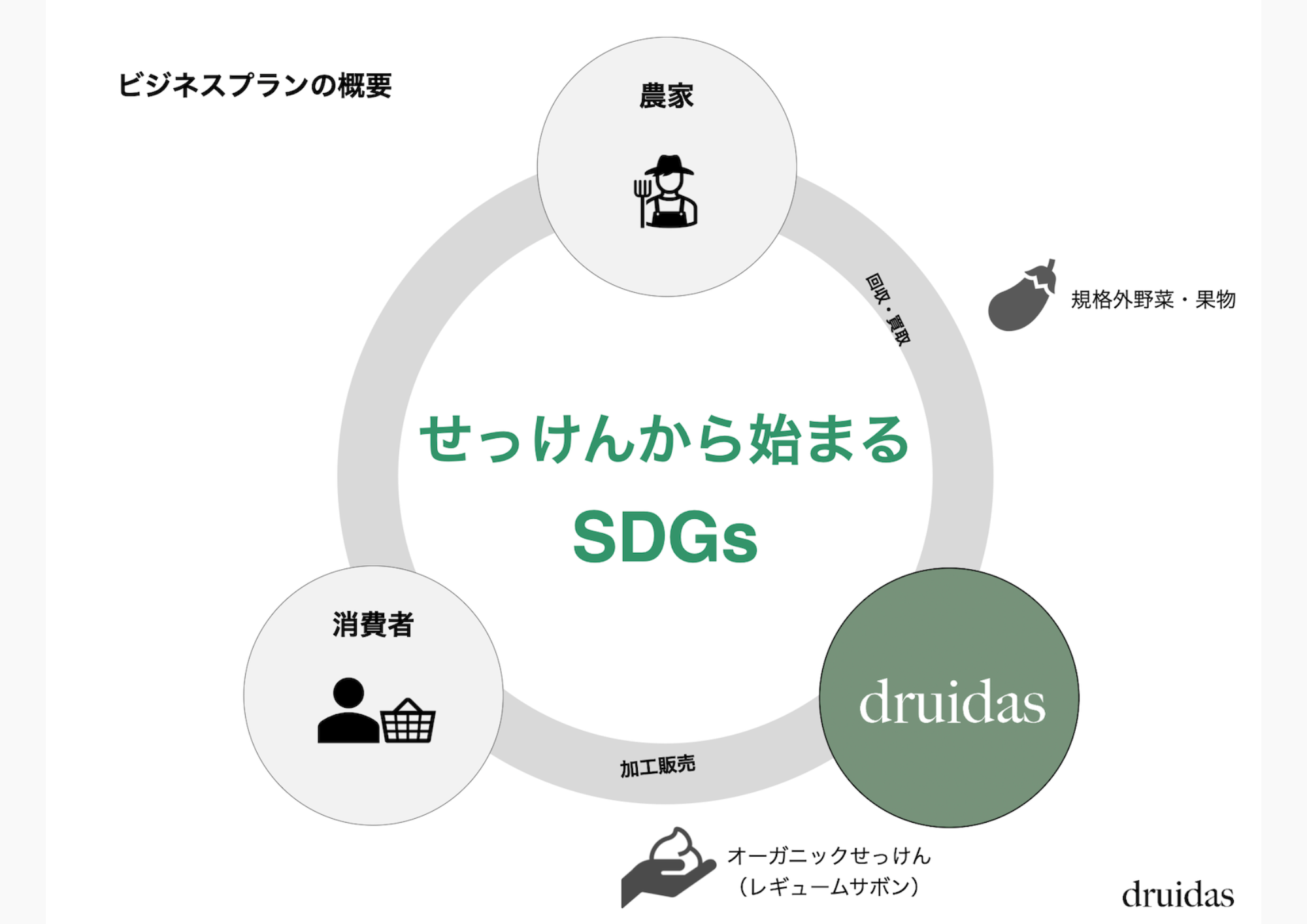 druidas概要